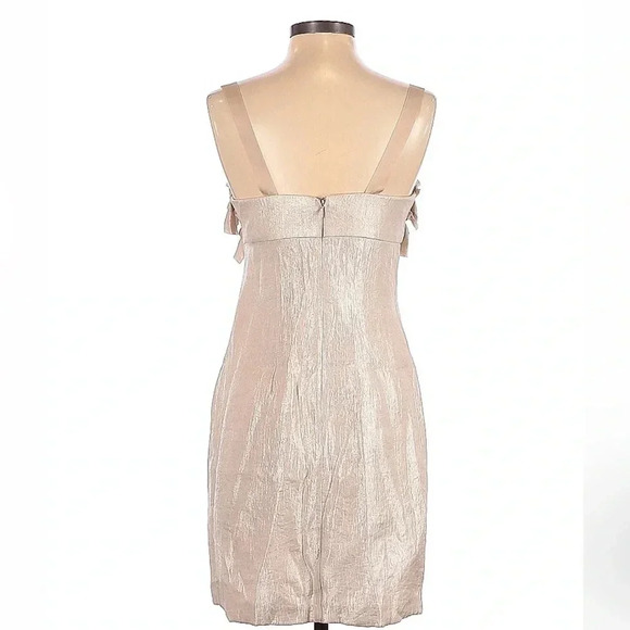 Boston Proper Rose Gold Shimmer Metallic Ruffle Sweetheart Neckline Dress Size 2 - Picture 3 of 7